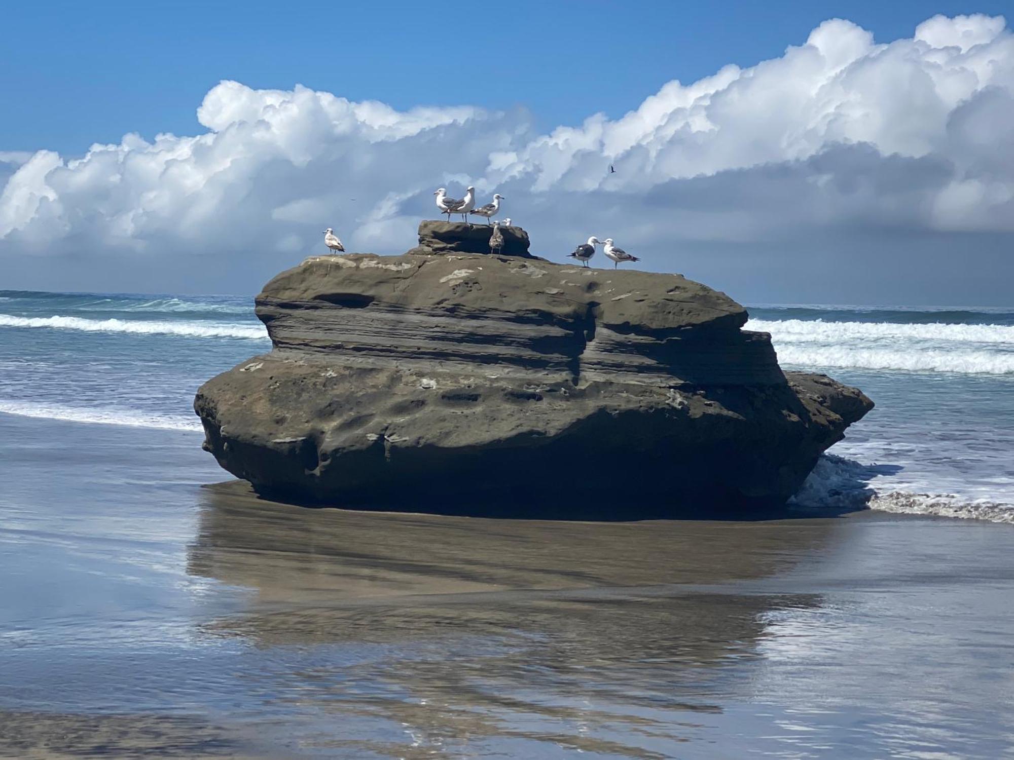 Dolphin Beach Get Away Rosarito Exterior foto